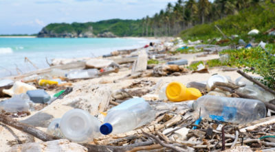 How Plastic Water Bottles Effect on the Environment